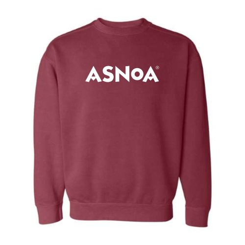 Asnoa - Pigment-Dyed Crewneck Sweatshirt