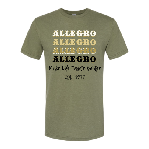 Allegro - Softstyle CVC T-Shirt v1