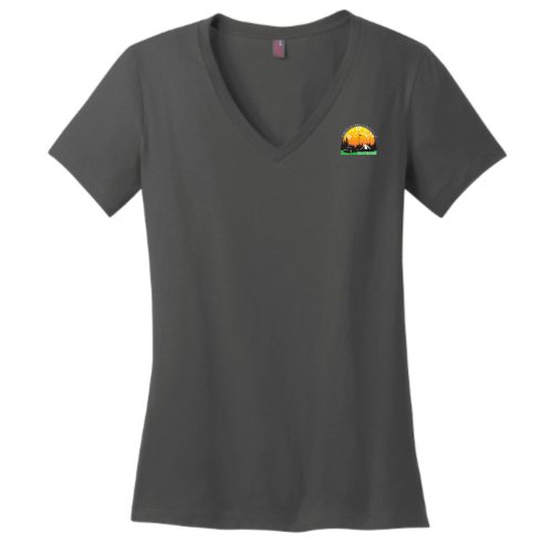 W7HEN - District Made Ladies Perfect Weight V-Neck Tee v3