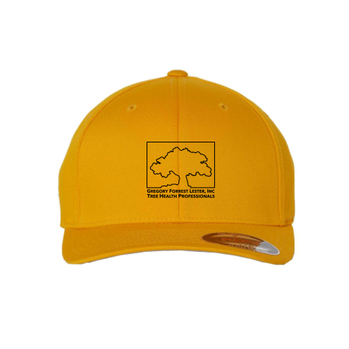 GFLester Yupoong Flexfit - 6277