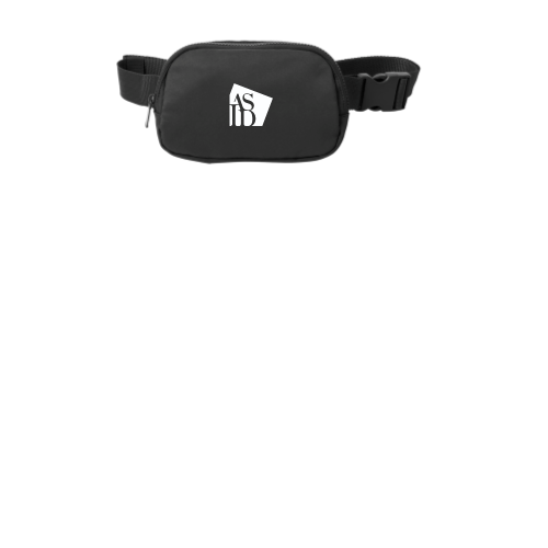 ASID - Port Authority Matte Hip Pack