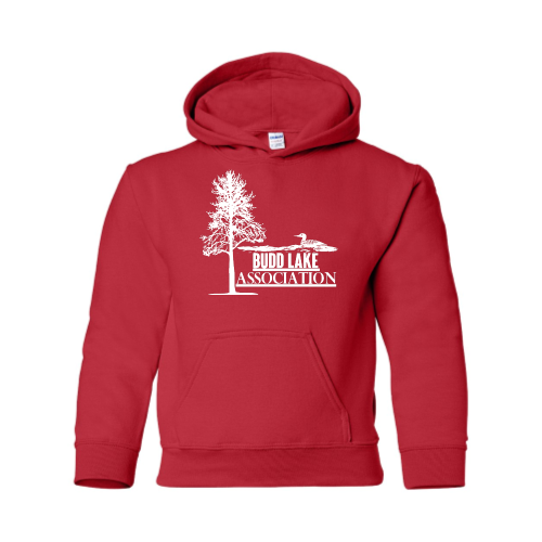 BuddLakeAssociation - Heavy Blend Youth Hooded Sweatshirt v2