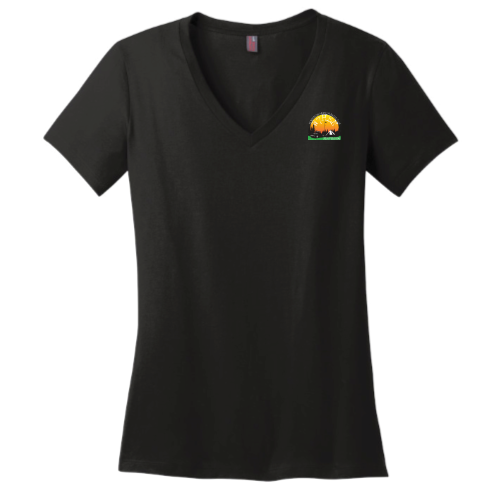 W7HEN - District Made Ladies Perfect Weight V-Neck Tee v3