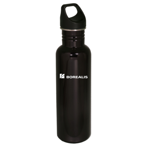 BorealisGroup - 26oz Stainless Bottle