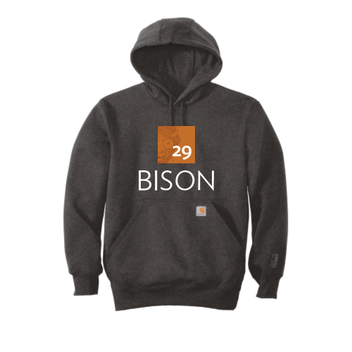 29Bison Carhartt Rain Defender Paxton Heavyweight Hoodie