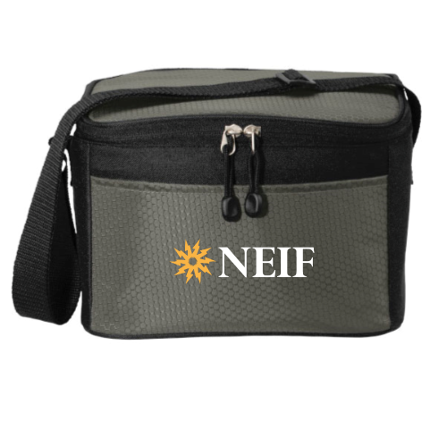 NEIF - Port Authority 6-Can Cube Cooler