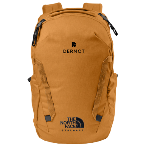 Dermot - The North Face Stalwart Backpack v2