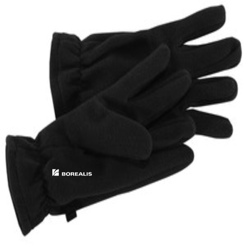 BorealisGroup - Port Authority Fleece Gloves