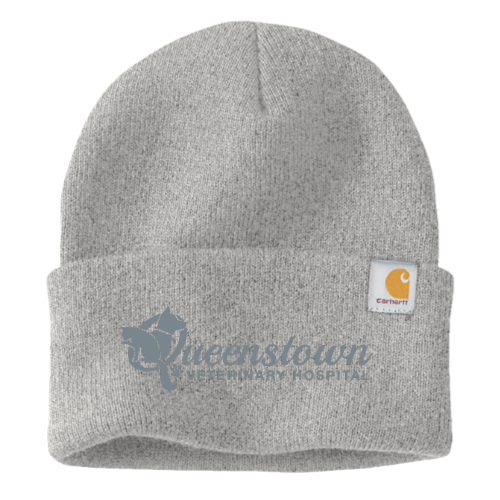 QueenstownVet - Carhartt Watch Cap 2.0 CT104597