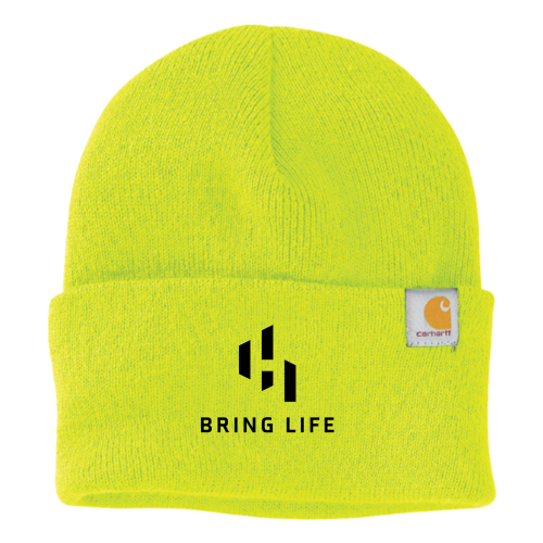 HurleyDev - Carhartt Watch Cap 2.0 CT104597