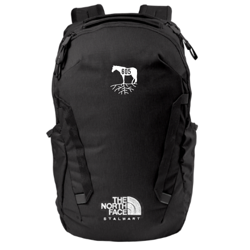 605roots - The North Face - Stalwart Backpack