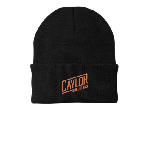 CaylorSolutions - Port Company - CP90 v2