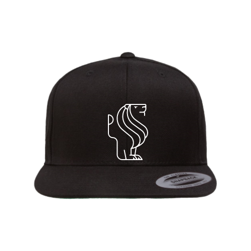 MGA Snapback Hat