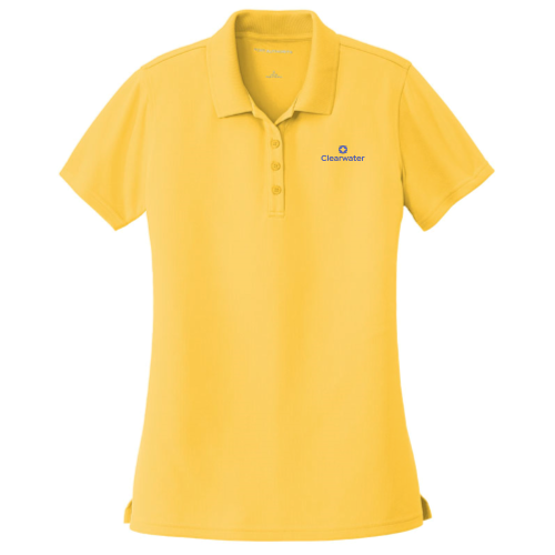 Clearwater Security - Port Authority Ladies Dry Zone UV Micro-Mesh Polo v2