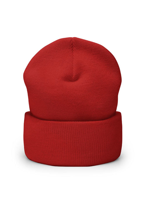 Cuffed Beanie | Yupoong 1501KC