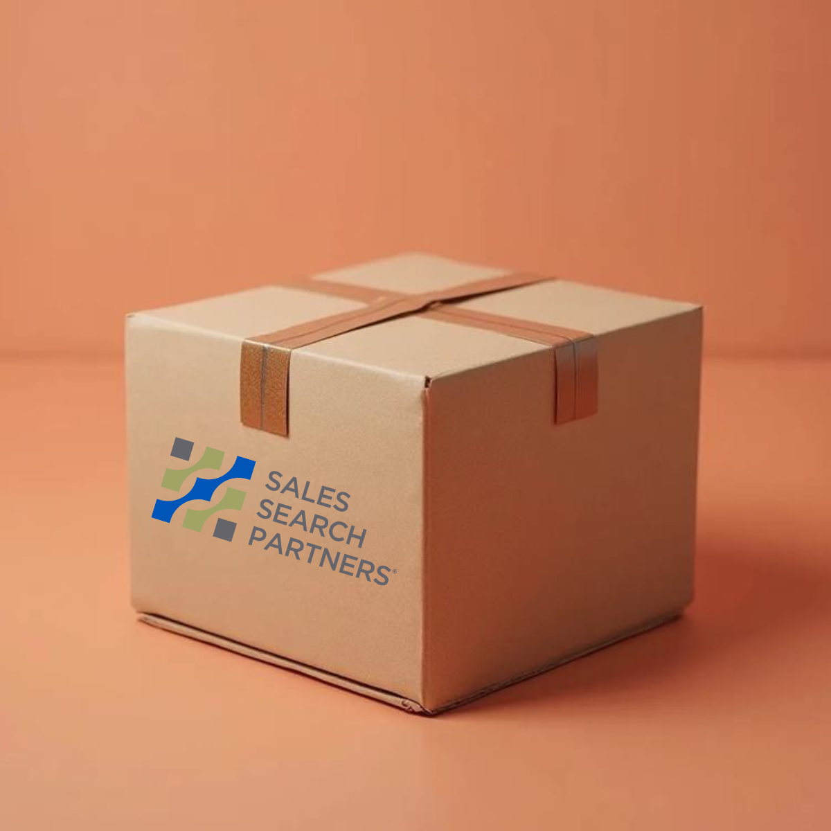 SALES SEARCH PARTNERS SWAG BOX
