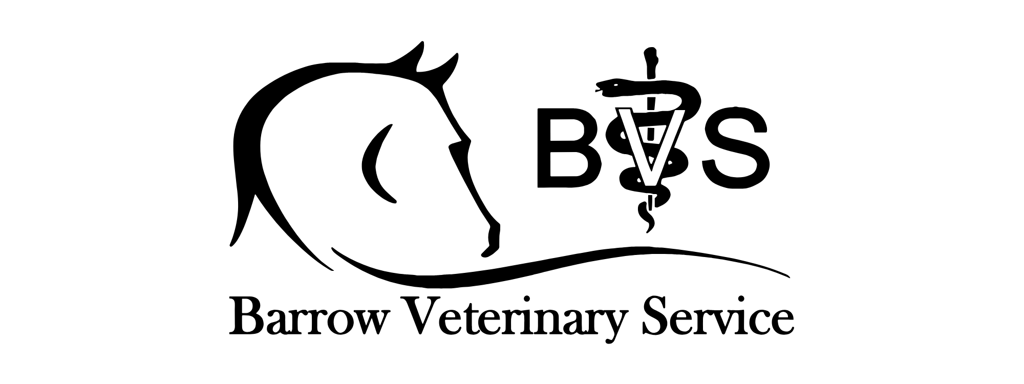 Barrow Vets