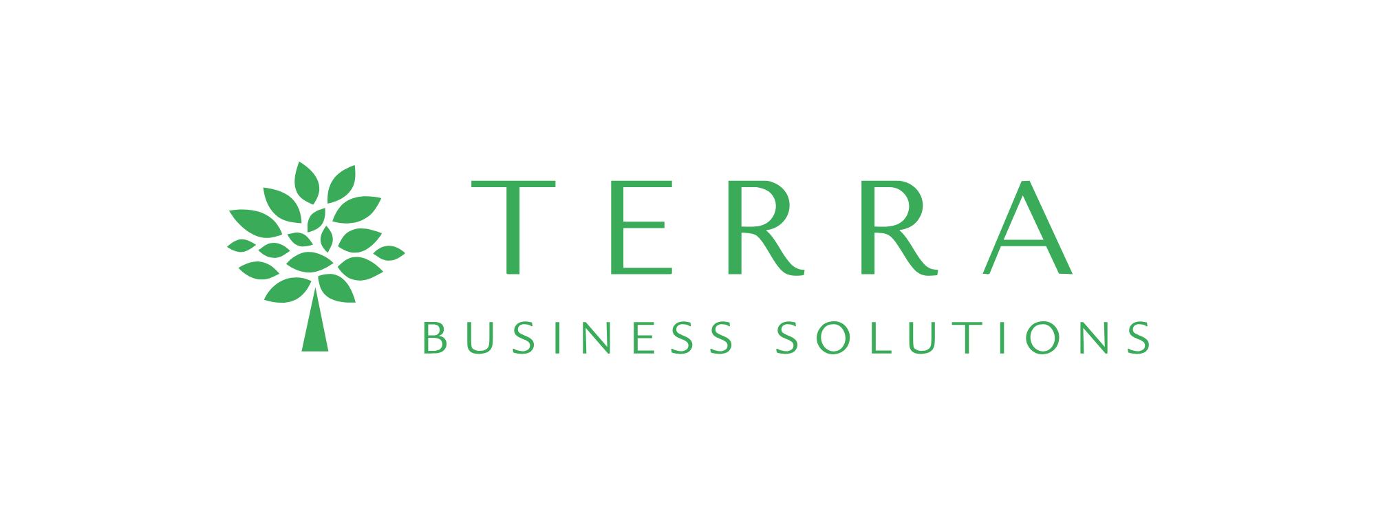 Terra Business Solutions