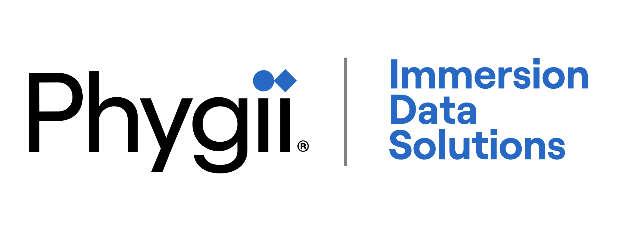 Immersion Data Solutions