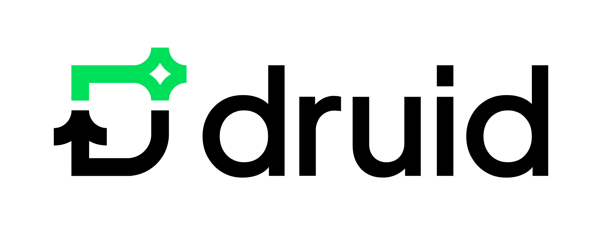 Druid