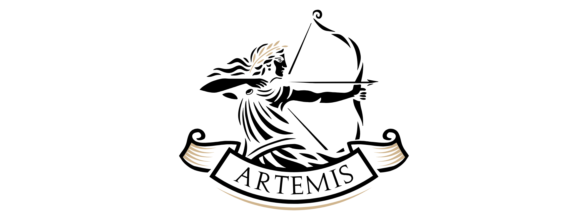 Artemis Select Training Studio