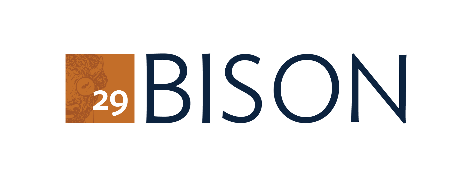 29Bison