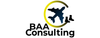 BAA Consulting
