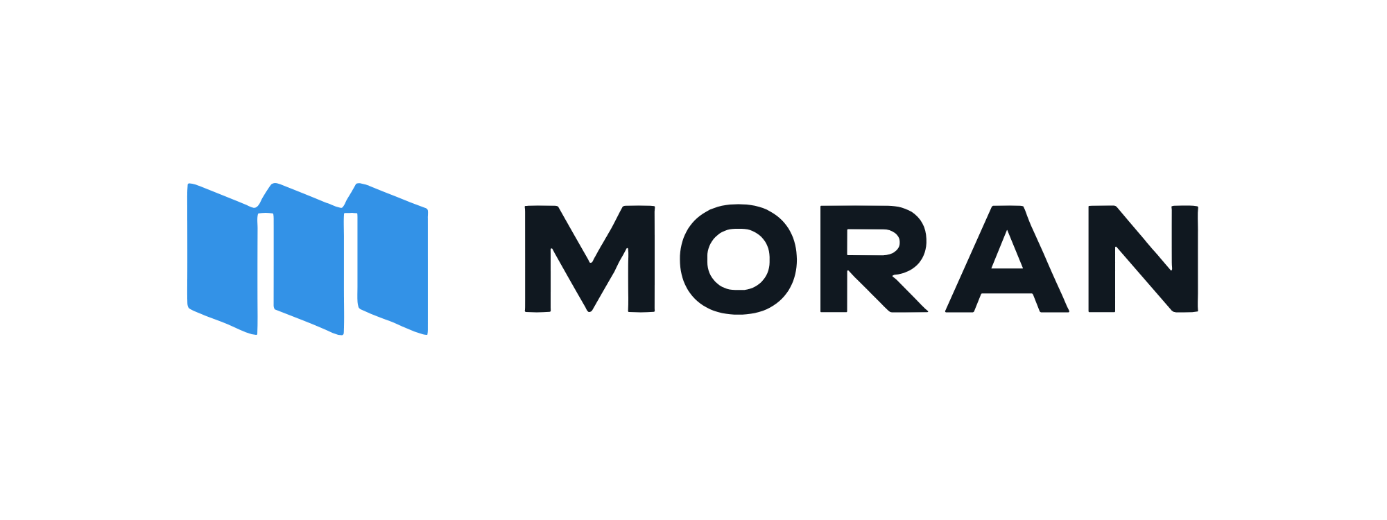 Moran Technology Consulting