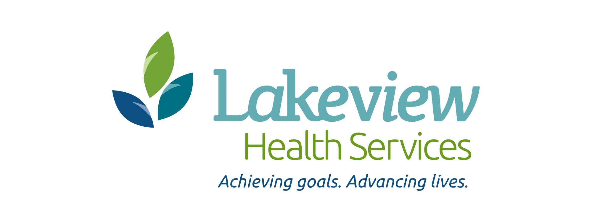 LakeviewHealthServicesInc