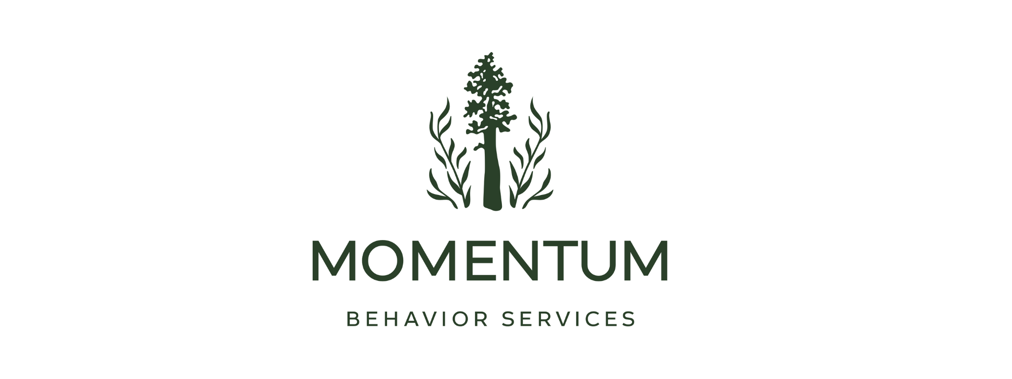 MomentumBehaviorServices