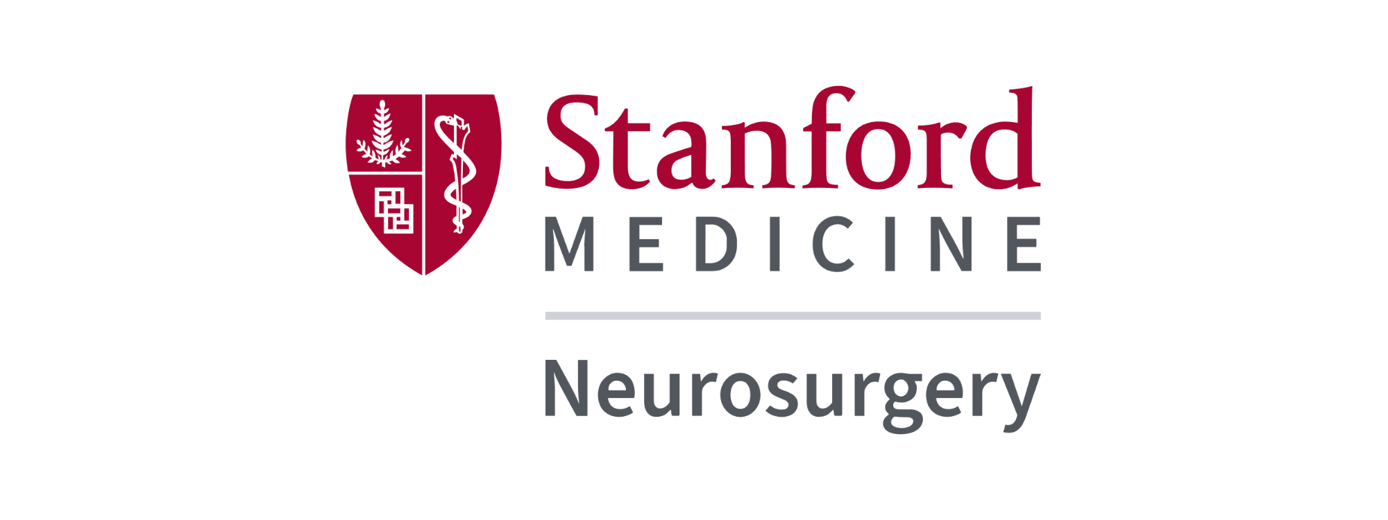 StanfordNeuroLab