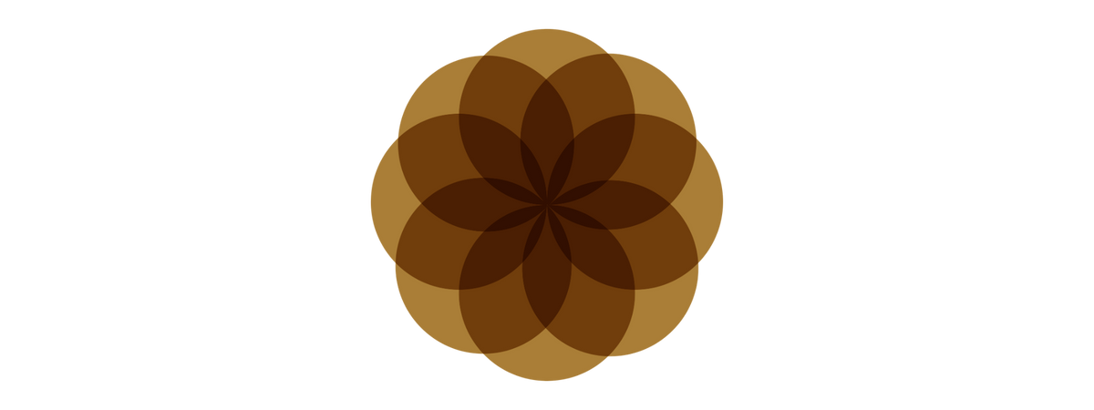The Cycles Collective