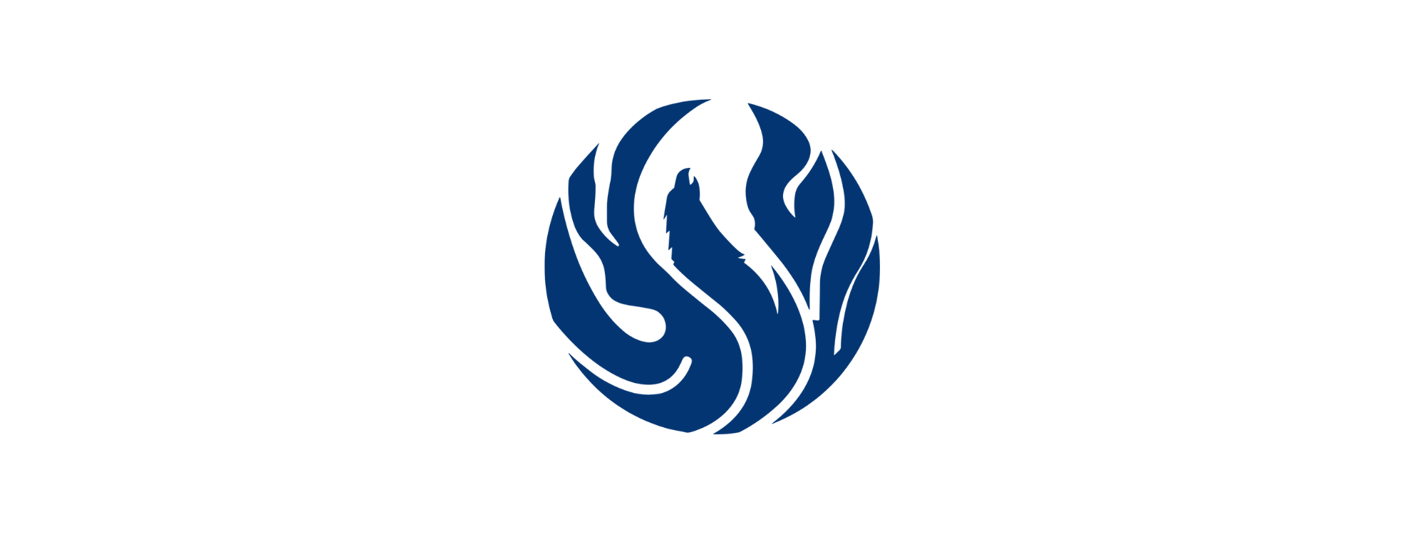 USHealthAdvisors