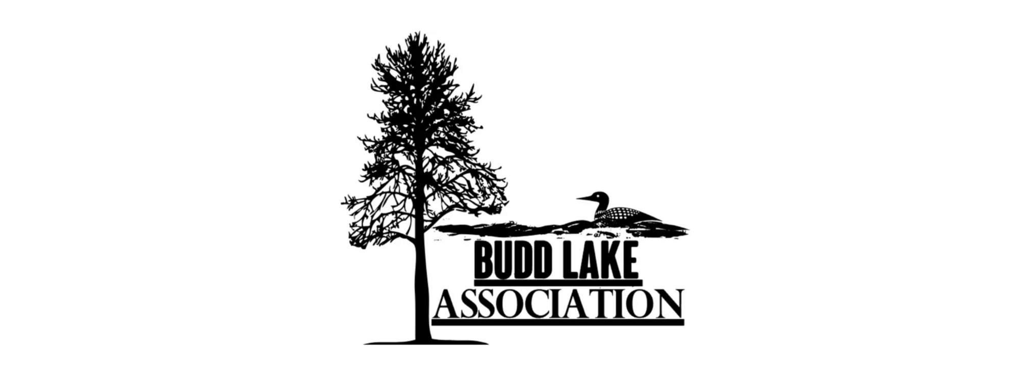 BuddLakeAssociation