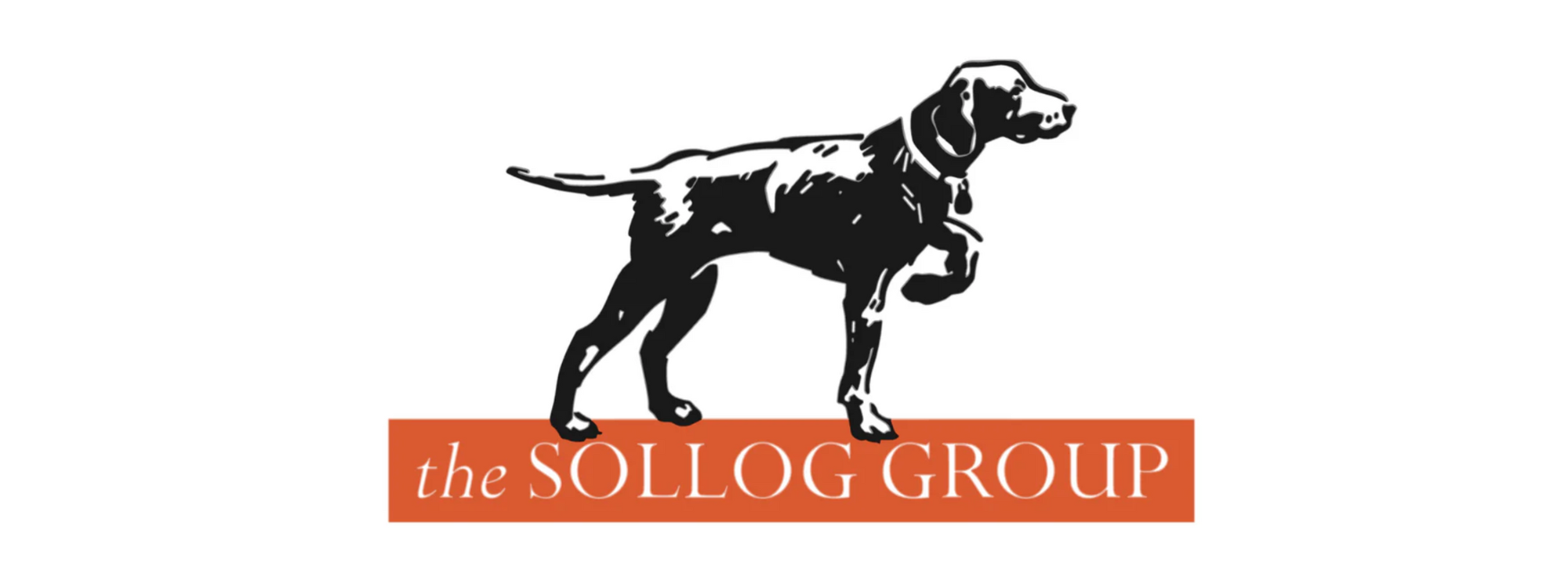 TheSollogGroup