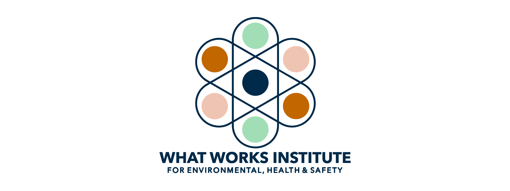 WhatWorksInstitute