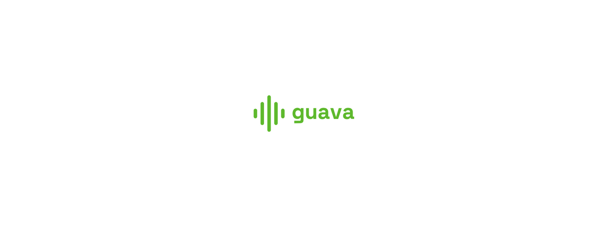 Guava AI Systems