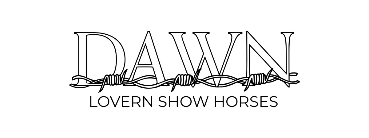 Dawn Lovern Show Horses
