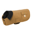 Carhartt Dog Chore Coat CTP0000505