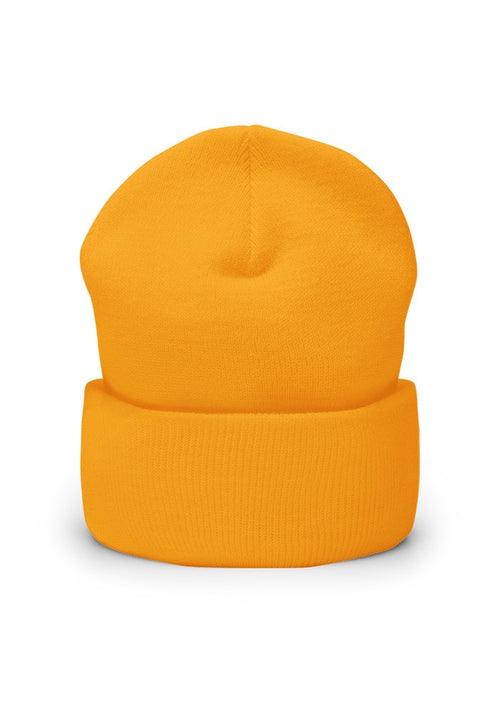 Cuffed Beanie | Yupoong 1501KC