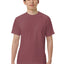 Unisex Garment-Dyed Heavyweight T-Shirt | Comfort Colors 1717