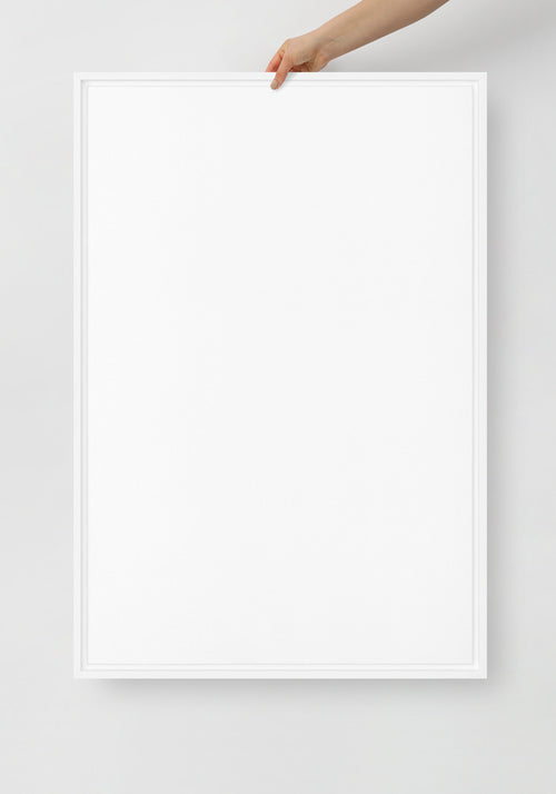 Framed Canvas