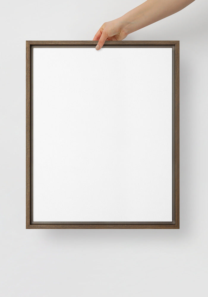 Framed Canvas