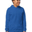 Youth Heavy Blend Hoodie | Gildan 18500B