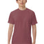 Unisex Garment-Dyed Heavyweight T-Shirt | Comfort Colors 1717