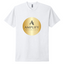 AmplifyAesthetics - Unisex Next Level - CVC T-Shirt