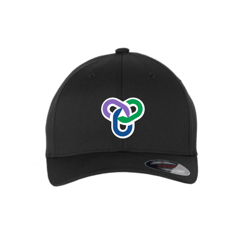 MasterYourMerger - Flexfit Hat