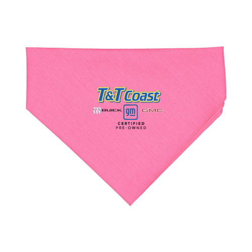 T&TCoastAuto - Doggie Bandana v1