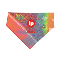 Tye-Dye Paisley