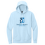 Ice Blue